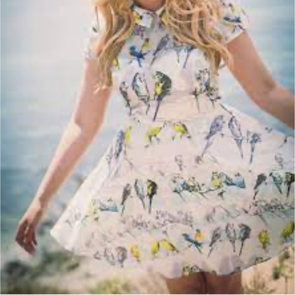 Ted Baker Size 2 Dress